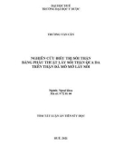 Tóm tắt Luận án Tiễn sĩ Y học: Nghiên cứu điều trị sỏi thận bằng phẫu thuật lấy sỏi thận qua da trên thận đã mổ mở lấy sỏi