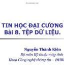 Bài giảng Tin học đại cương Phần 2: Bài 8 - Nguyễn Thành Kiên