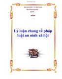 Tiểu luận: Lý luận chung về pháp luật an ninh xã hội