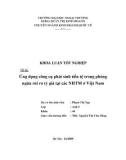 Khóa luận tốt nghiệp: Ứng dụng công cụ phái sinh tiền tệ trong phòng ngừa rủi ro tỷ giá tại các ngân hàng thương mại ở Việt Nam