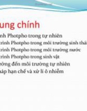 Bài thuyết trình: Chu trình Photpho