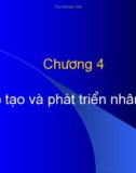 Chương 4: Đào tạo và phát triển nhân sự