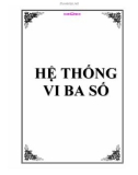 Hệ thống vi ba số