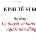 Kinh tế vi mô - Lý thuyết về hành vi người tiêu dùng