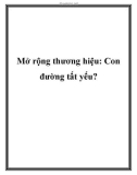 Mở rộng thương hiệu: Con đường tất yếu