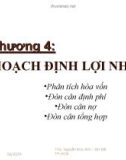 Lý thuyết hoạch định lợi nhuận