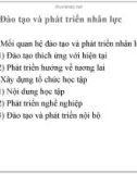 Bài giảng Quản trị nguồn ngân lực (Nâng cao): Chương 4 - PGS. TS. Dương Cao Thái Nguyên