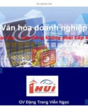 Bài giảng Văn hóa doanh nghiệp (Phần 2): Bài 3 - Đặng Trang Viễn Ngọc