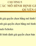 Chương 5 : Các mô hình định giá quyền chọn