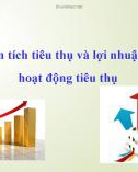 Bài giảng Chương 5: Phân tích tiêu thụ và lợi nhuận từ hoạt động tiêu thụ