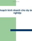 Bài giảng Kế hoạch kinh doanh cho dự án khởi nghiệp