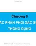 Bài giảng Thống kê trong kinh doanh và kinh tế: Chương 5 - Chế Ngọc Hà