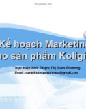 Kê hoạch Marketing cho sản phẩm KoliginD