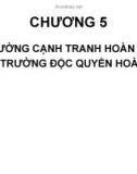 Chương 5: Thị trường cạnh tranh hoàn toàn và thị trường độc quyền hoàn toàn