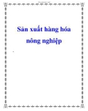 Sản xuất hàng hóa nông nghiệp